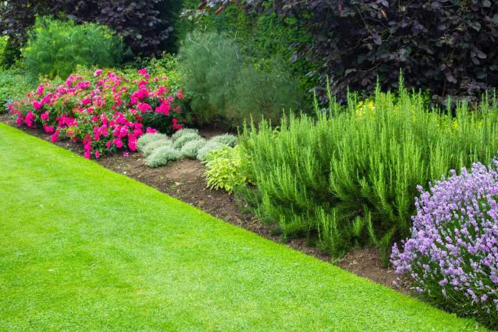 Bordure Muret